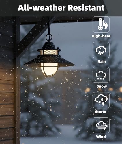 Black LED Antique Outdoor Barn Lights With Cage
