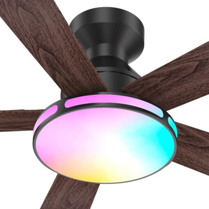 Ceiling Fans with Lights
