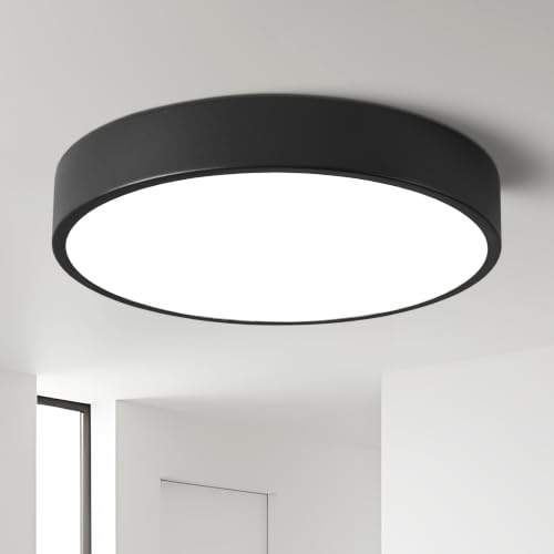 LED Low Profile Flush Mount Ceiling Light Fixture