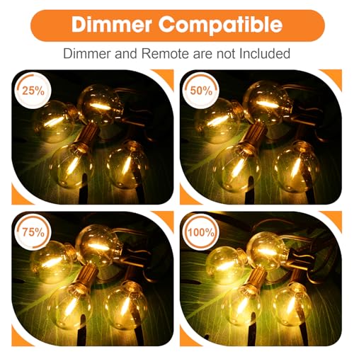 G40 Outdoor Light Bulbs