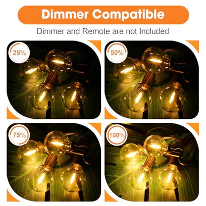 G40 Outdoor Light Bulbs