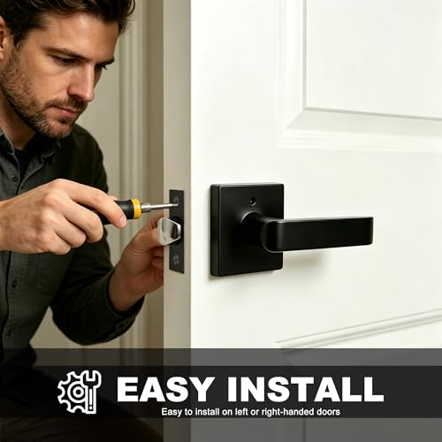 Interior Privacy Door Lever