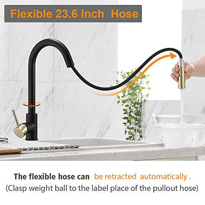 High Arc Single Handle Kitchen Sink Faucet With Pull Out Sprayer