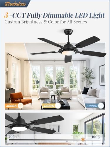 Large Ceiling Fans with Lights