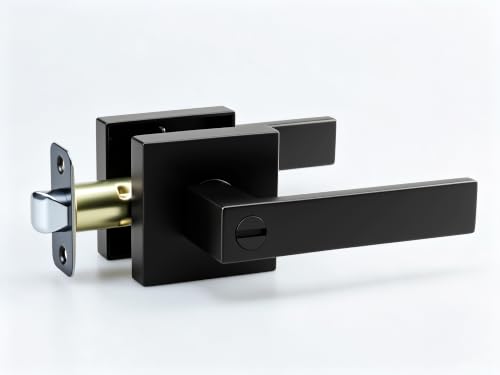 Privacy Door Handle with Lock
