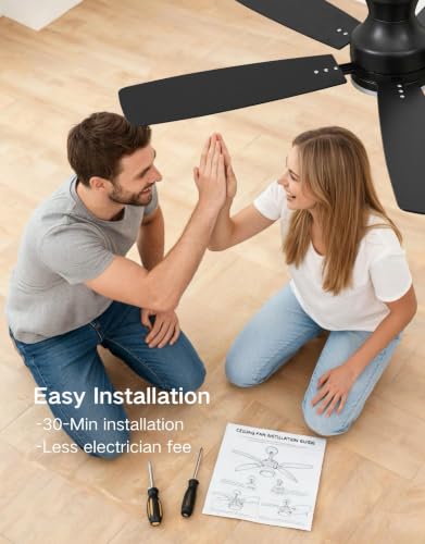 Ceiling Fans with Lights