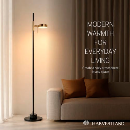 Noah Reading Floor Lamp