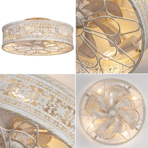 Caged Ceiling Fan with Light
