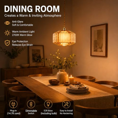 Plug in Pendant Light Cord