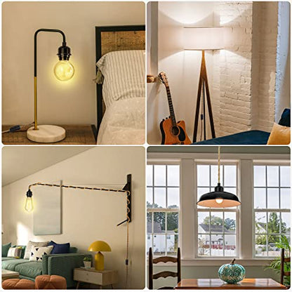 Plug in Hanging Light Kit