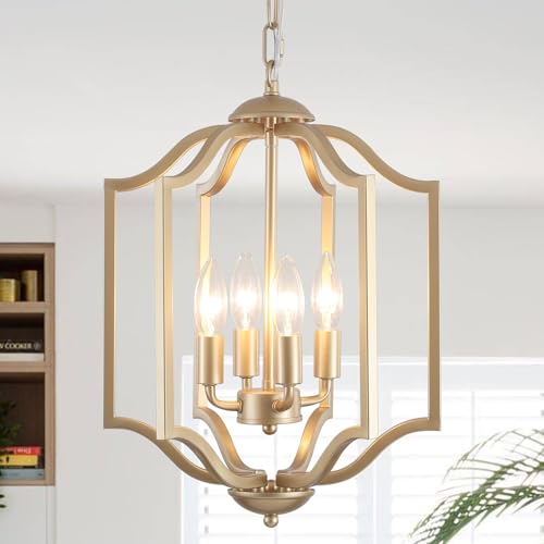 Black Chandelier Light Fixture