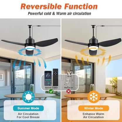 Waterproof Outdoor Ceiling