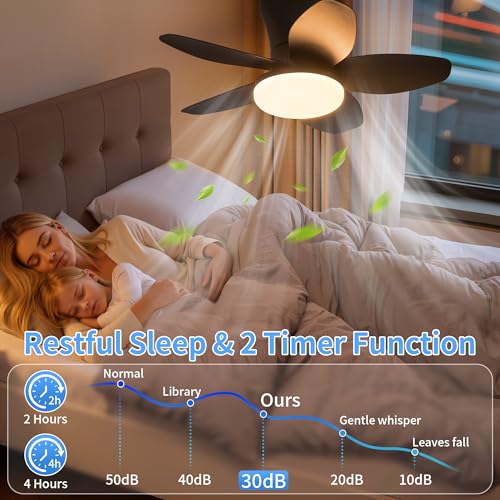 Ceiling Fan with Lights