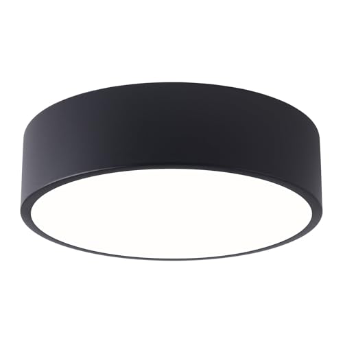LED Ceiling Light