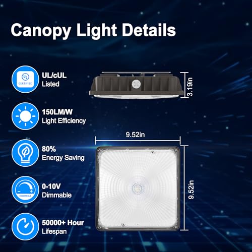 LED Canopy Light