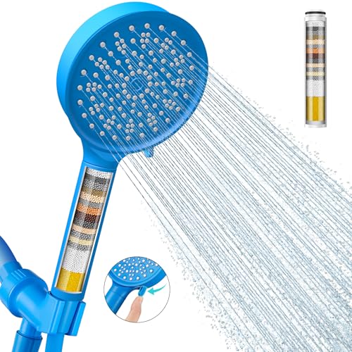Handheld Shower Head with Filter