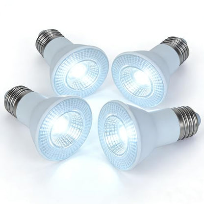 PAR20 LED Light Bulb