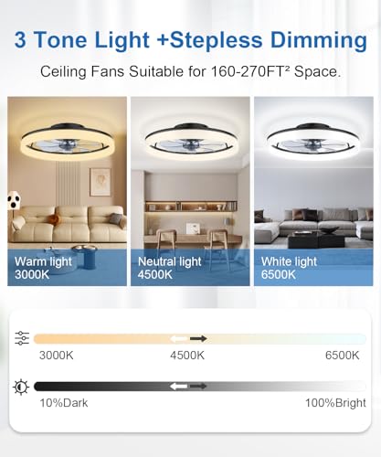 Ceiling Fans with Lights and Remote