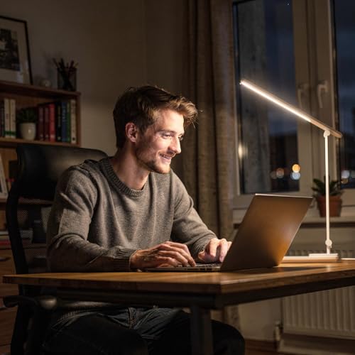 LED Desk Lamp