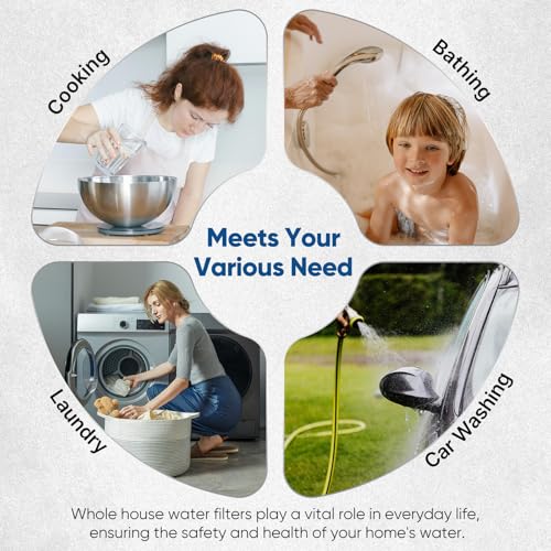 10" x 4.5" Whole House Scale Inhibitor & Sediment Filter Compound for Well
