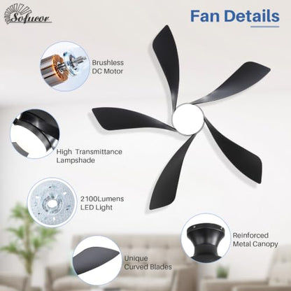 Ceiling Fans with Lights and Remote