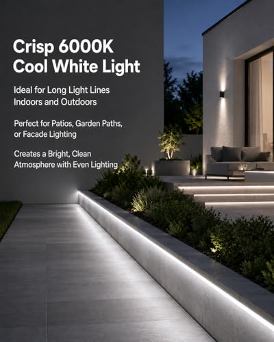 Dimmable LED Neon Rope Light