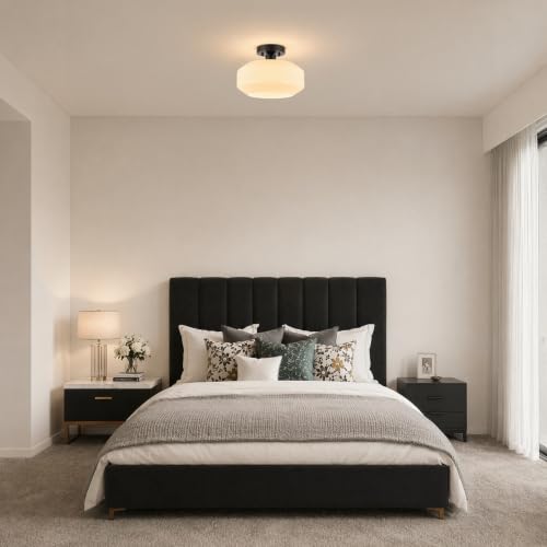Modern Ceiling Light