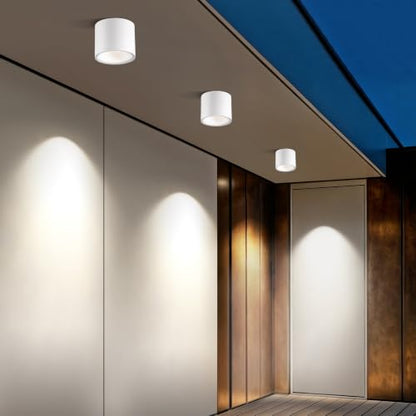 Flush Mount Dimmable Outdoor Ceiling Light Fixture