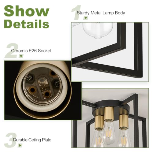 3 Light Ceiling Light