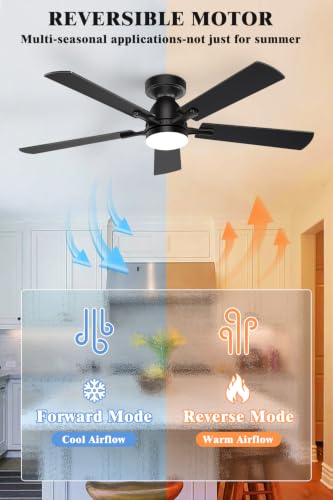 Ceiling Fan with Light