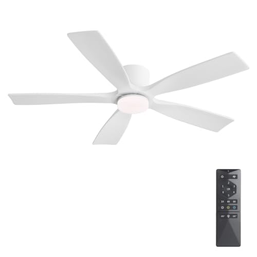 Ceiling Fan with Lights