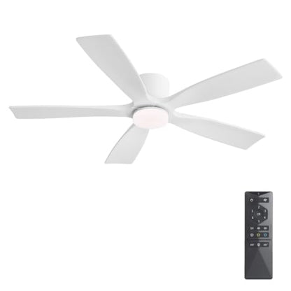 Ceiling Fan with Lights