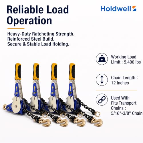 4 Pack 5/16"-3/8" EZ Ratchet Chain Binder with G70 Grab Hooks, Ratchet Load Binder Kit, 5400 lbs WLL Heavy Duty Cargo Tie Down for Flatbed Trailers & Trucks (5/16" - 3/8"(4 Pack))