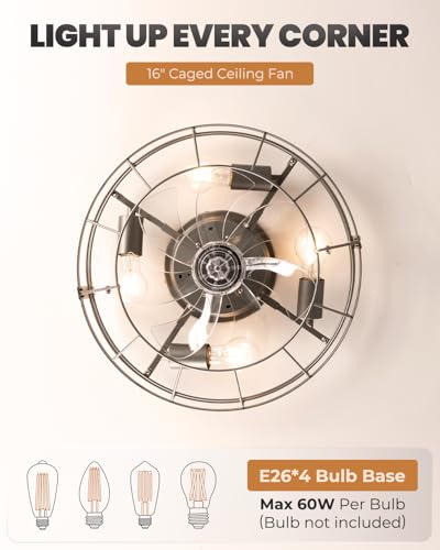 Black Ceiling Fan with Light