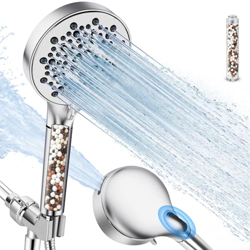 Filtered Shower Head with Handheld