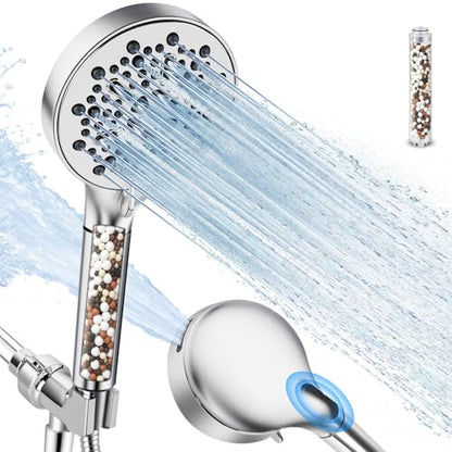 Filtered Shower Head with Handheld