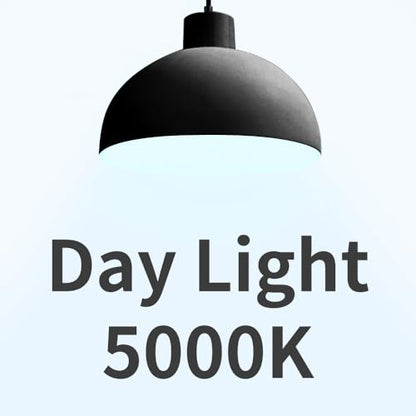 A19 LED Light Bulbs
