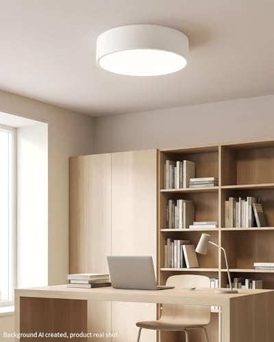 LED Ceiling Light