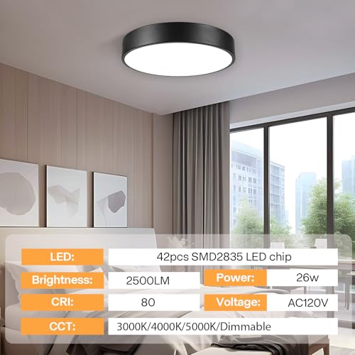 Matte Black Flush Mount Ceiling Light