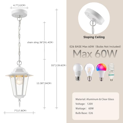 13.4 Inch Outdoor Hanging Pendant Light