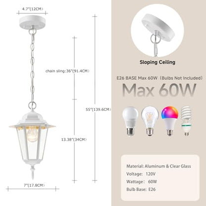 13.4 Inch Outdoor Hanging Pendant Light