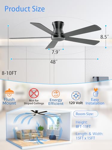 Ceiling Fan No Light