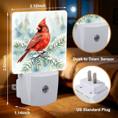 Night Lights Plug into Wall (Cardinal B)