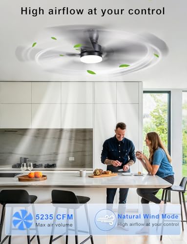 52 inch Low Profile Ceiling Fan with Light and Remote