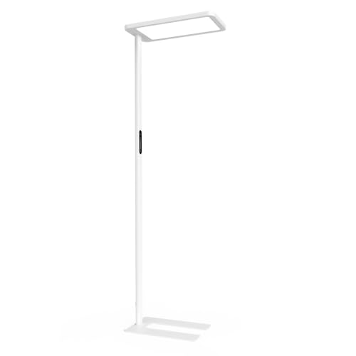 100W Led Floor Lamp