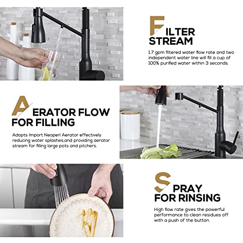 Kitchen Faucet with Pull Down Sprayer and Pot Filler