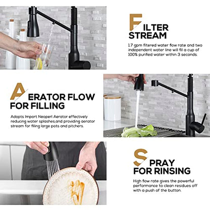 Kitchen Faucet with Pull Down Sprayer and Pot Filler