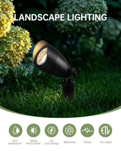 Low Voltage Landscape Lighting