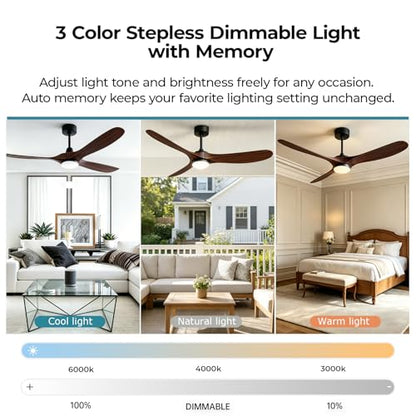 Ceiling Fans with Lights