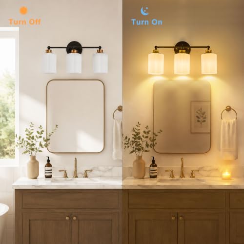 Vanity Light